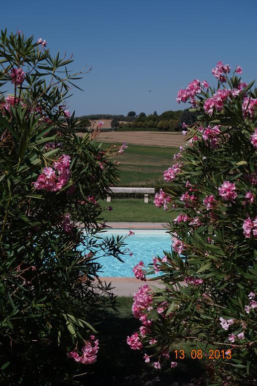 Villa La Lodola Foiano Della Chiana Εξωτερικό φωτογραφία