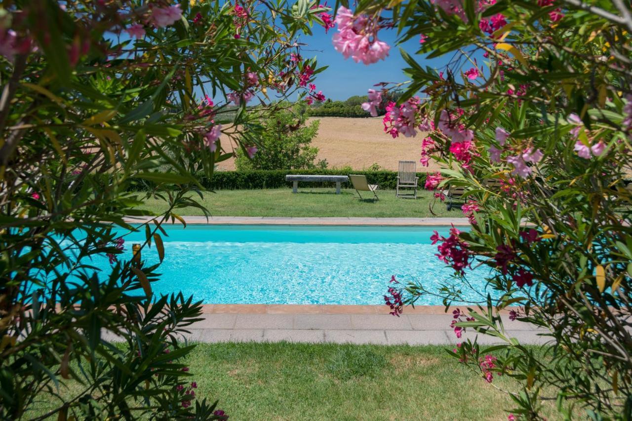 Villa La Lodola Foiano Della Chiana Εξωτερικό φωτογραφία